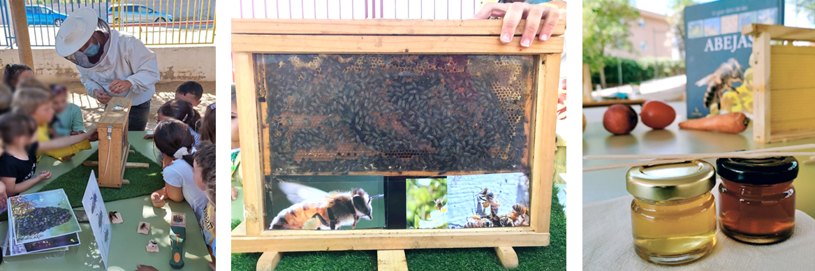 formaciones en colegios, empresas y para particulares que se quieran adentrar en el mundo de la apicultura