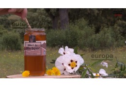 Guardianes de la biodiversidad: Miel de Melque y apicultura sostenible